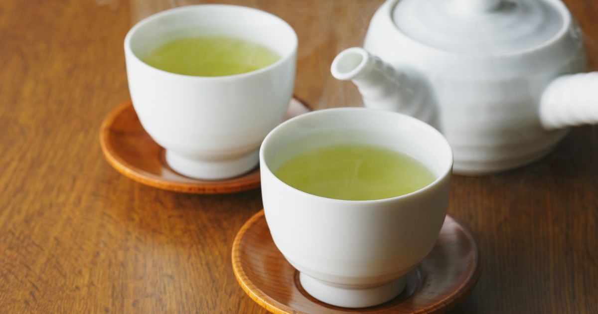 Qu'est-ce que le sencha ? Tout savoir sur le thé vert japonais