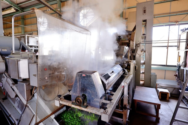 Les étapes de fabrication du sencha, l'usine du thé vert